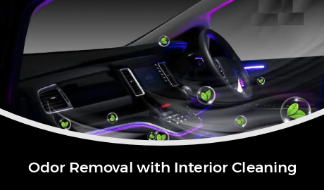 Odor Removal With Interior